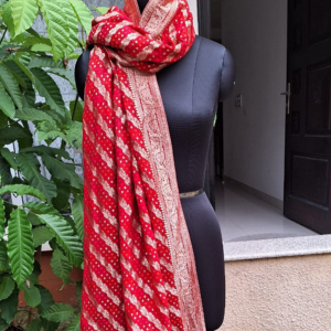 Dupatta One